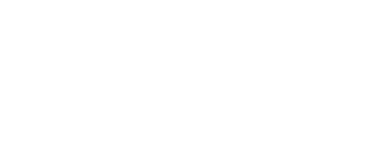 Wise Stock Research